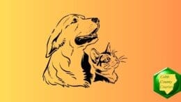 Line drawing of a dog and a cat looking upward to the right