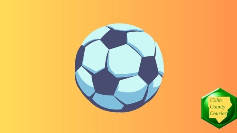 A drawing of a soccer ball