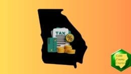 A drawing on the Georgia map with things representing taxes at the center: a sheet titled "Tax," three stacks of gold coins, a credit card and a percent sign