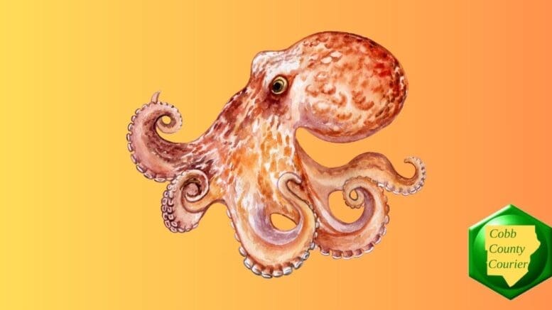 Drawing of an octopus