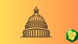 Line drawing of U.S. Capitol dome