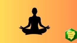 Silhouette of person in a lotus yoga posture