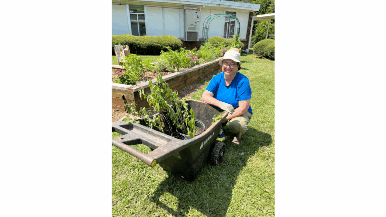 A smiling woman sits on the ground alongside a wheelbarrow of plants during a garden workday