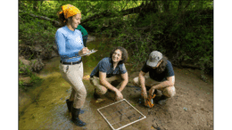 Two students sift with a square screen in a creek while a woman takes notes