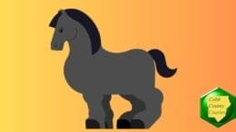 drawing of a Clydesdale draught horse