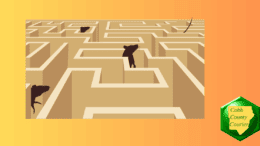 mice in a maze