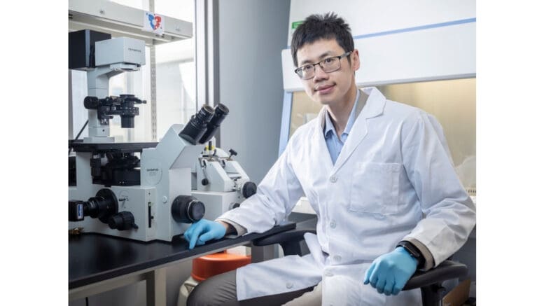 KSU research Lei Shi