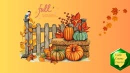 Fall season items: pumpkins, falling leaves, a fence with a bird