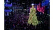Battery Atlanta Tree Lighting