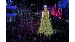 Battery Atlanta Tree Lighting