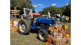 A child sits on a blue tractor surrounded by harvest-themed items