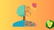 drawing of sun baking one half of a landscape with tree