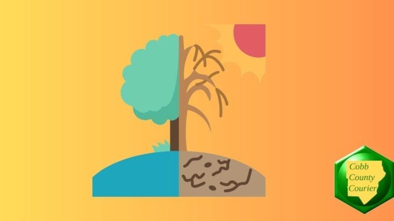 drawing of sun baking one half of a landscape with tree