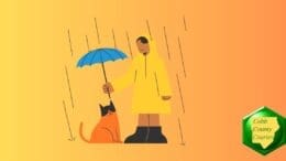 Drawing of a person in a raincoat with hood holding an umbrella over a cat in the rain.