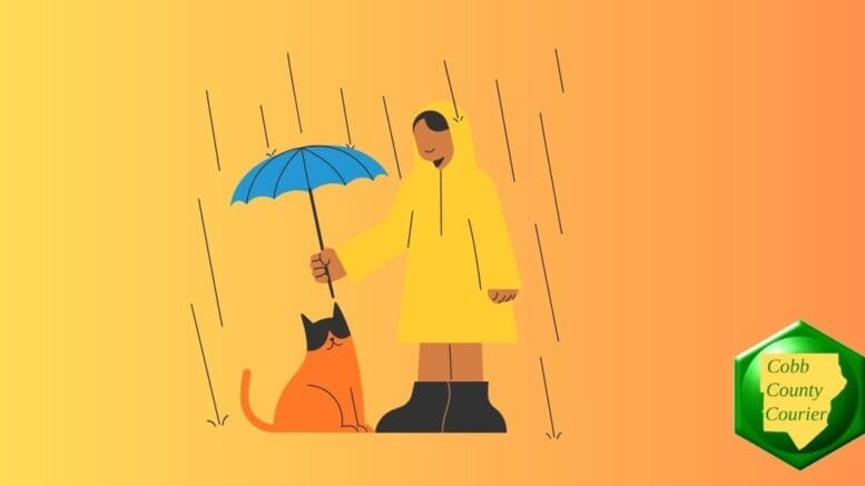 Drawing of a person in a raincoat with hood holding an umbrella over a cat in the rain.