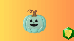Teal pumpkin representing support for children with allergies