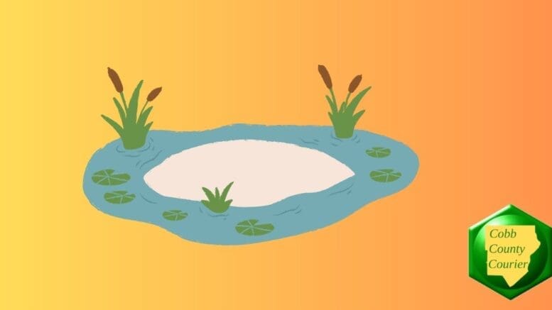 A drawing of a wetlands scene with lily pads and cat-tails