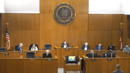 Screenshot of the Smyrna City Council in session