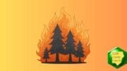 Color drawing of flames engulfing a forest representing high fire danger