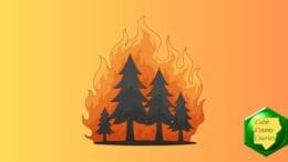 Color drawing of flames engulfing a forest representing high fire danger