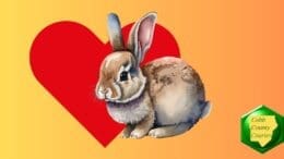 A drawing of a rabbit and a heart