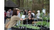 A photo from the Chattahoochee Nature Center's annual Spring Native Plant Sale