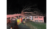 Firefighters evaluate as fallen tree lies across house in Mableton