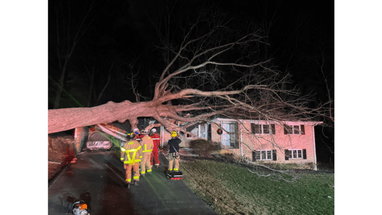 Firefighters evaluate as fallen tree lies across house in Mableton