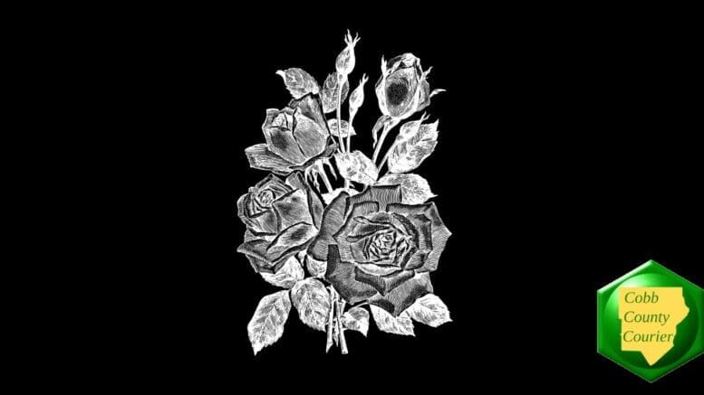 White flowers on black background for obituaries