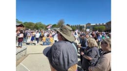 Crowd at the No Kings event in Smyrna