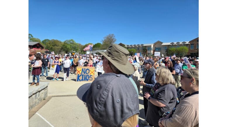 Crowd at the No Kings event in Smyrna