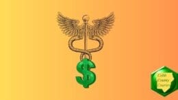 The Star of Life atop a dollar sign