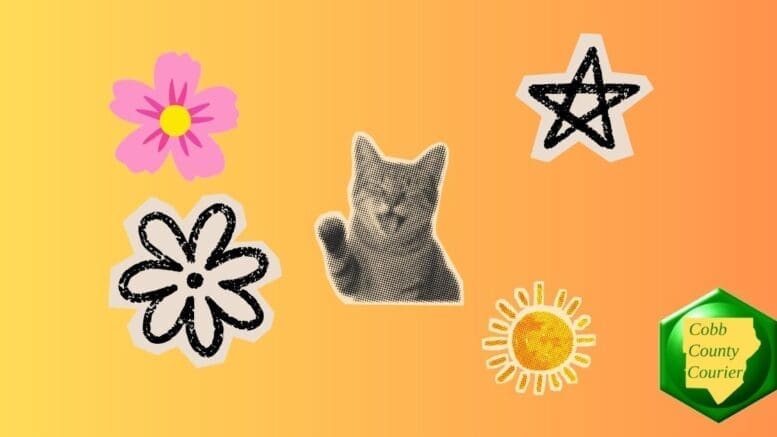 An assortment of cheerful stickers, including a cat and stars