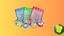 A set of bingo cards