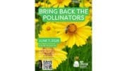 Poster for "Bring Back the Pollinators" event at the Smyrna Public Library: Sunday, June 7, 2026, from 3pm to 4pm