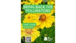 Poster for "Bring Back the Pollinators" event at the Smyrna Public Library: Sunday, June 7, 2026, from 3pm to 4pm