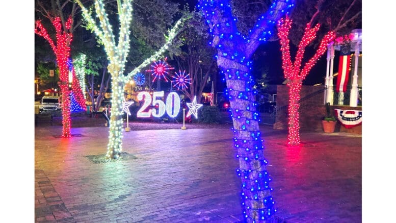 An abstract image of trees with "250" over it