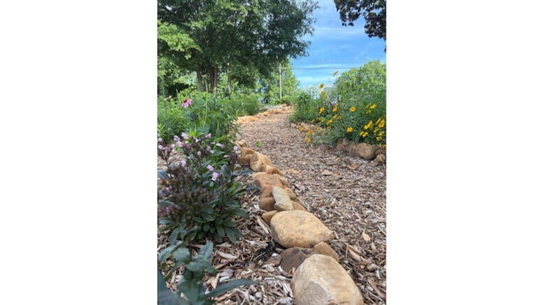 The Pollinator Garden at River Line Park