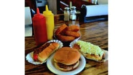 Photo of a hot dog, hamburger and onion rings with condiments